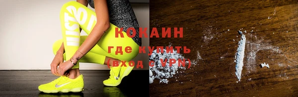 индика Арсеньев