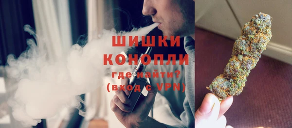 индика Арсеньев