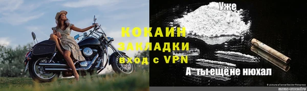 индика Арсеньев