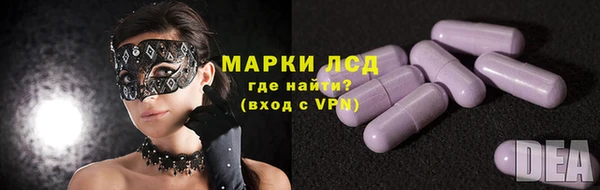 индика Арсеньев