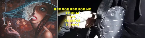 индика Арсеньев