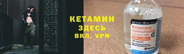 индика Арсеньев