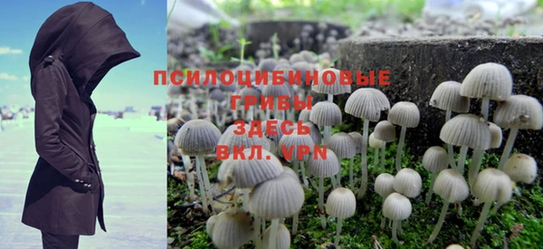индика Арсеньев