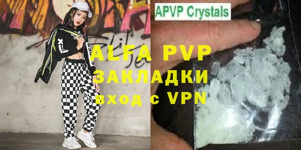 индика Арсеньев