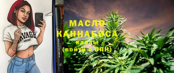 индика Арсеньев